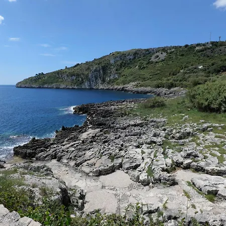 Il Vascello 3*
