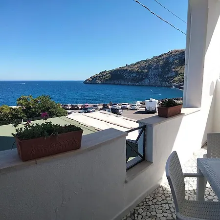 Il Vascello