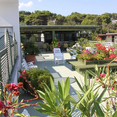 Il Vascello Marina Serra