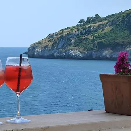 Il Vascello Marina Serra