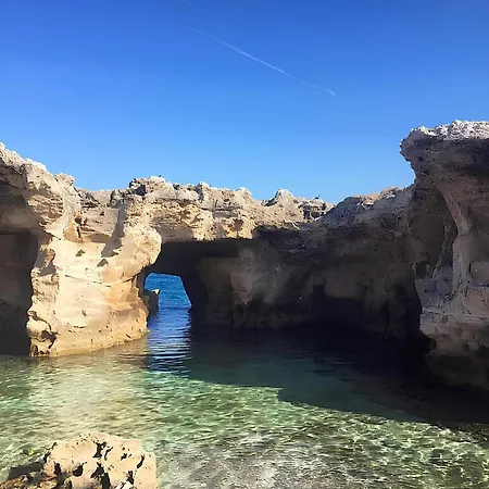 Il Vascello