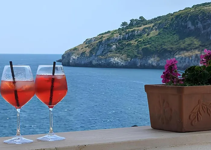 Il Vascello Marina Serra