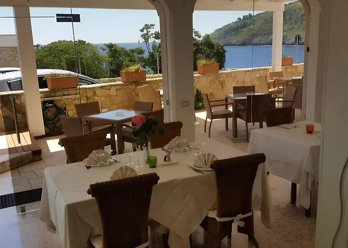 Il Vascello מרינה סרה